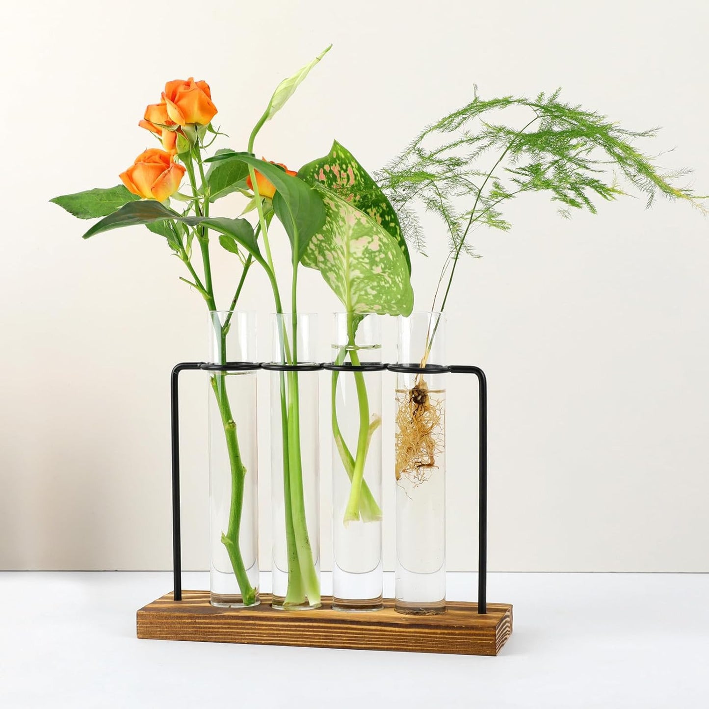 Plant Propagation Station, Glass Tubes for Indoor Hydroponic Plants & Flower Stems, Home/Office Decor, Birthday Gifts for Women, Gardening Gifts for Mom