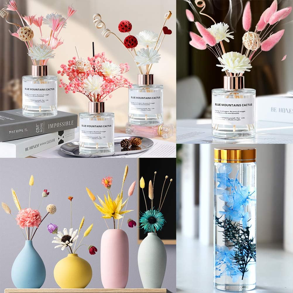 Vignee Real Dried Pressed Leaf Flowers-Multiple Colorful Pressed Flowers Daisies for Craft Resin Jewelry Making Art Craft DIY（Violet+Green）