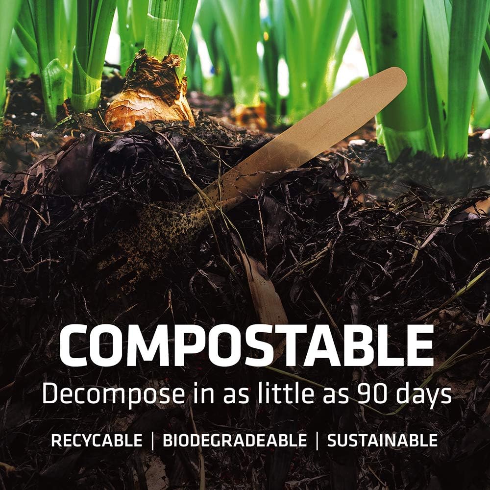 5.5 Inch Wooden Coffee Stirrers, 500 Count, Disposable & Compostable Wood Coffee Stick Stirrers | Eco-Friendly, Sustainable, Organic, Biodegradable, Vegan-Friendly Coffee Station Supplies