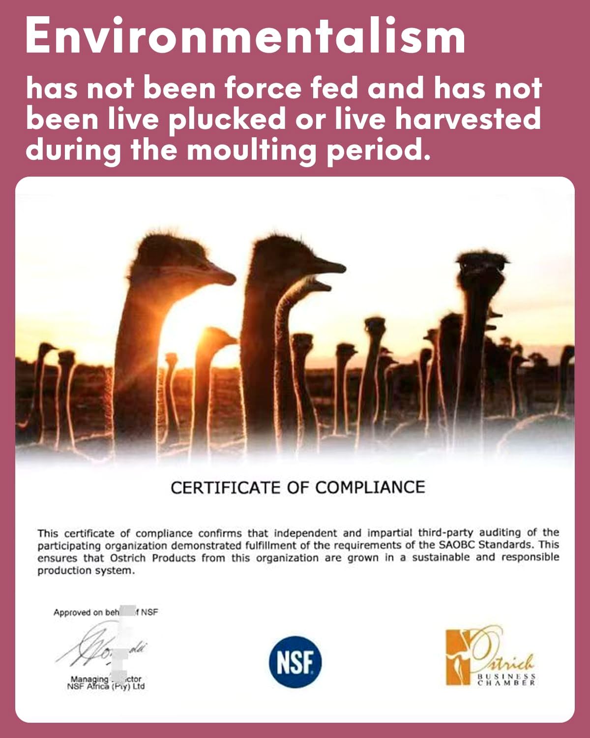 NEWONG 30pcs Wine red Ostrich Feathers Natural Bulk 11-14inch(28-35cm) Vase Craft Wedding Home Party Centerpieces Christmas Day Decoration