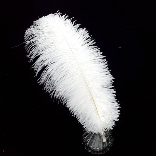 Happy Feather 16-18 inch White Ostrich Feathers Craft for Wedding Party Centerpieces Home Decoration DIY Craft Pack of 10