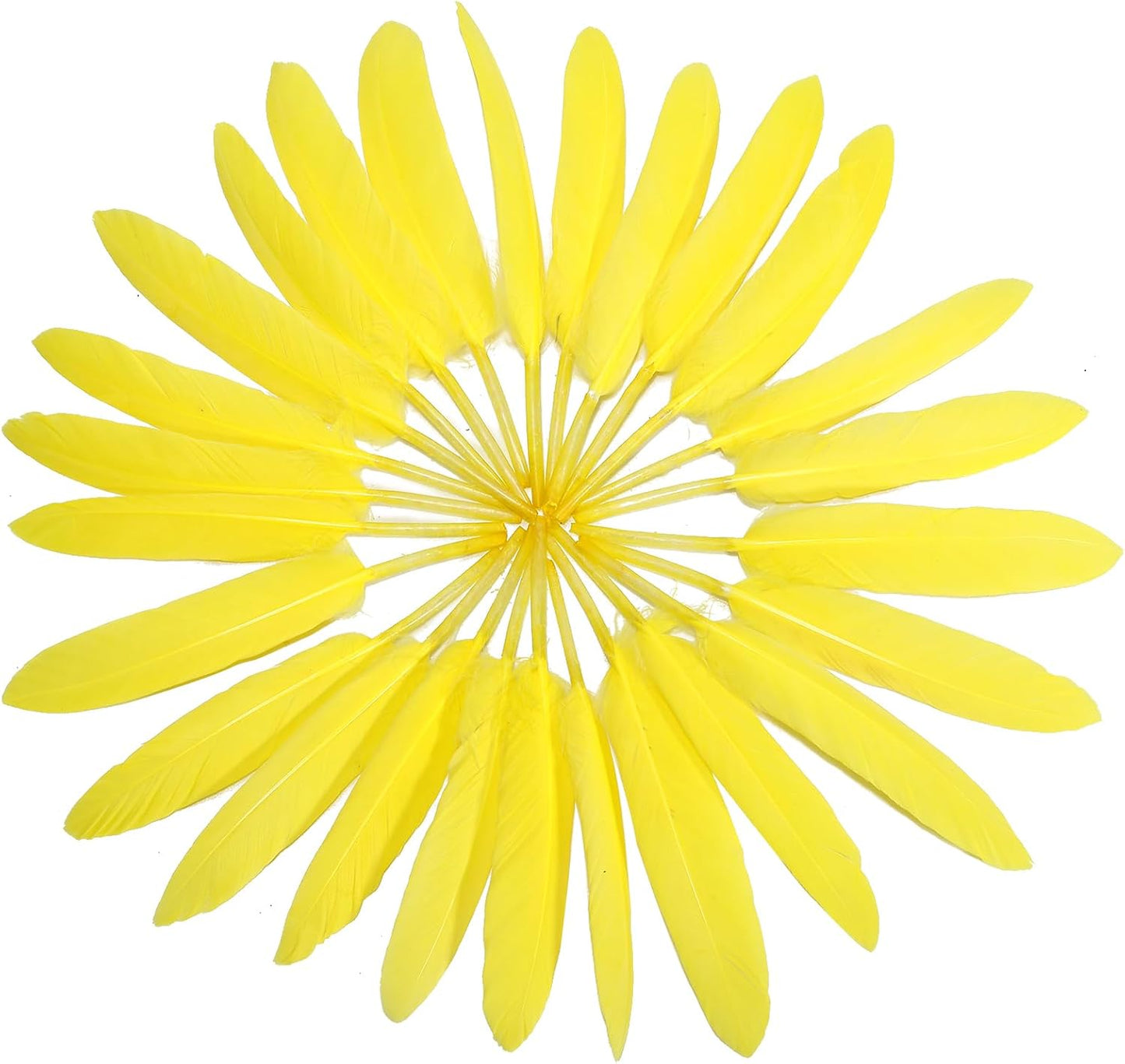 FeelfunFeather 120pcs Yellow Goose Cochettes Feather Natural Bulk 4-6 inch 10-15cm for Wedding Party Christmas Halloween Decorations DIY Crafts Goose Cochettes Feather