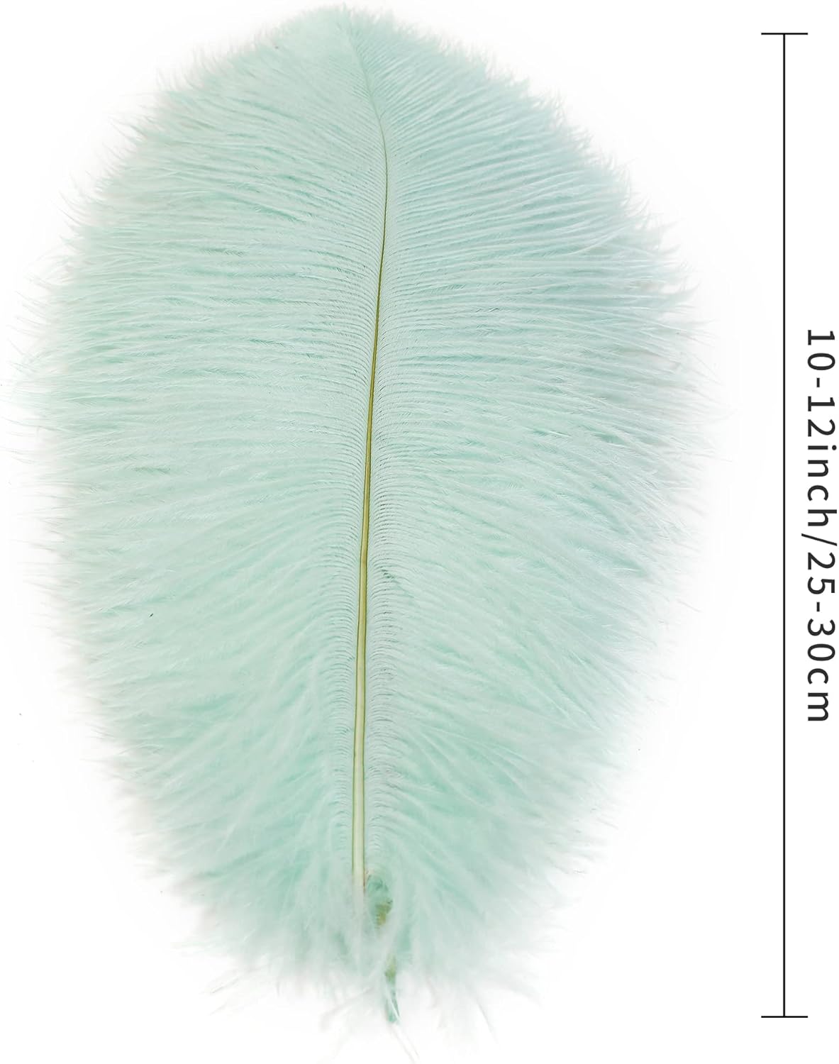 Ballinger Aqua Green Ostrich Feathers - 24pcs 10-12inch Craft Feathers Bulk for Wedding Party Centerpieces Mardi Gras Decorations and Home Decor