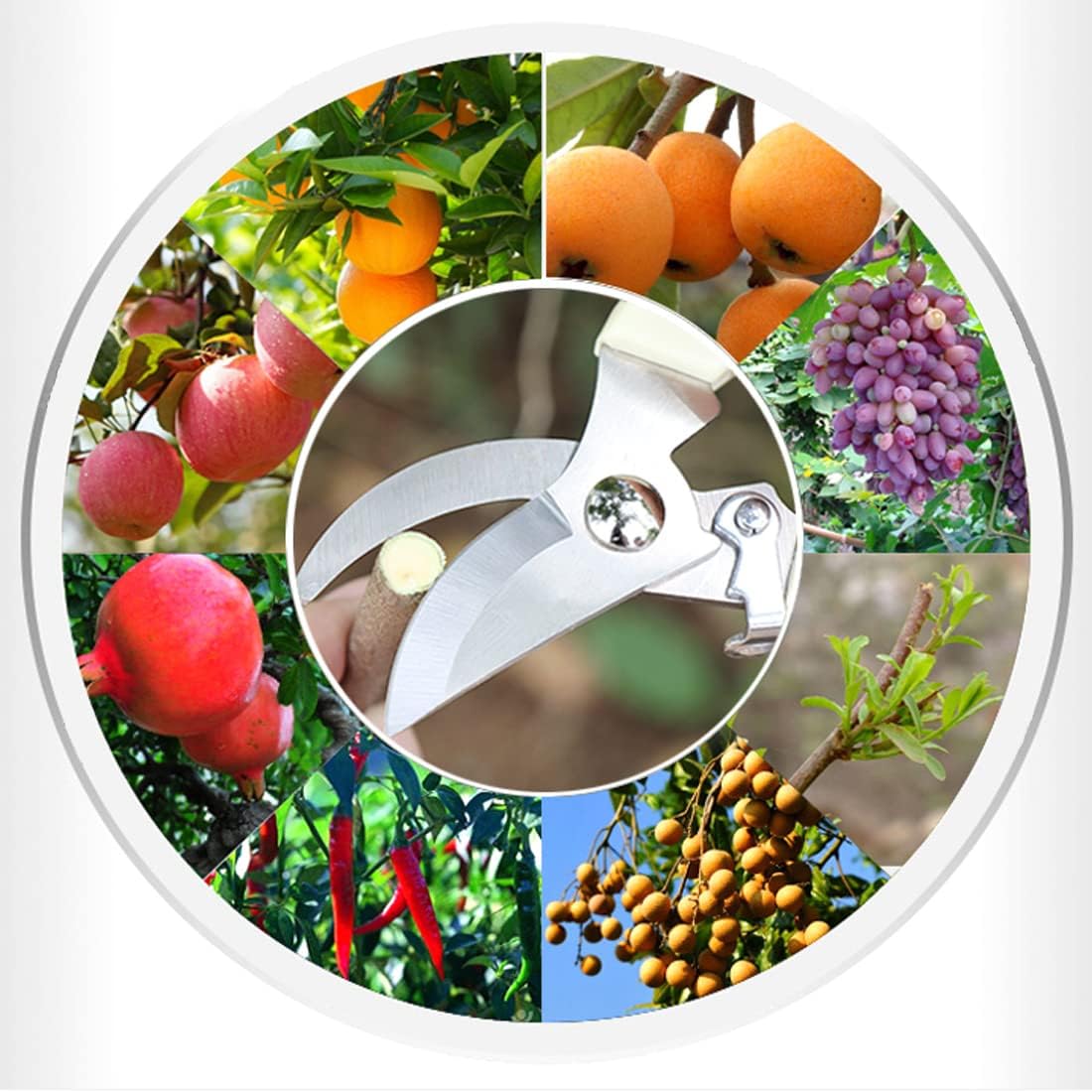 Leize Flower Scissors Set, 2 Pack Premium Thickened Stainless Steel Floral Shears, Strong Pruner for Flowers, Branches and Leaves, Upgrade