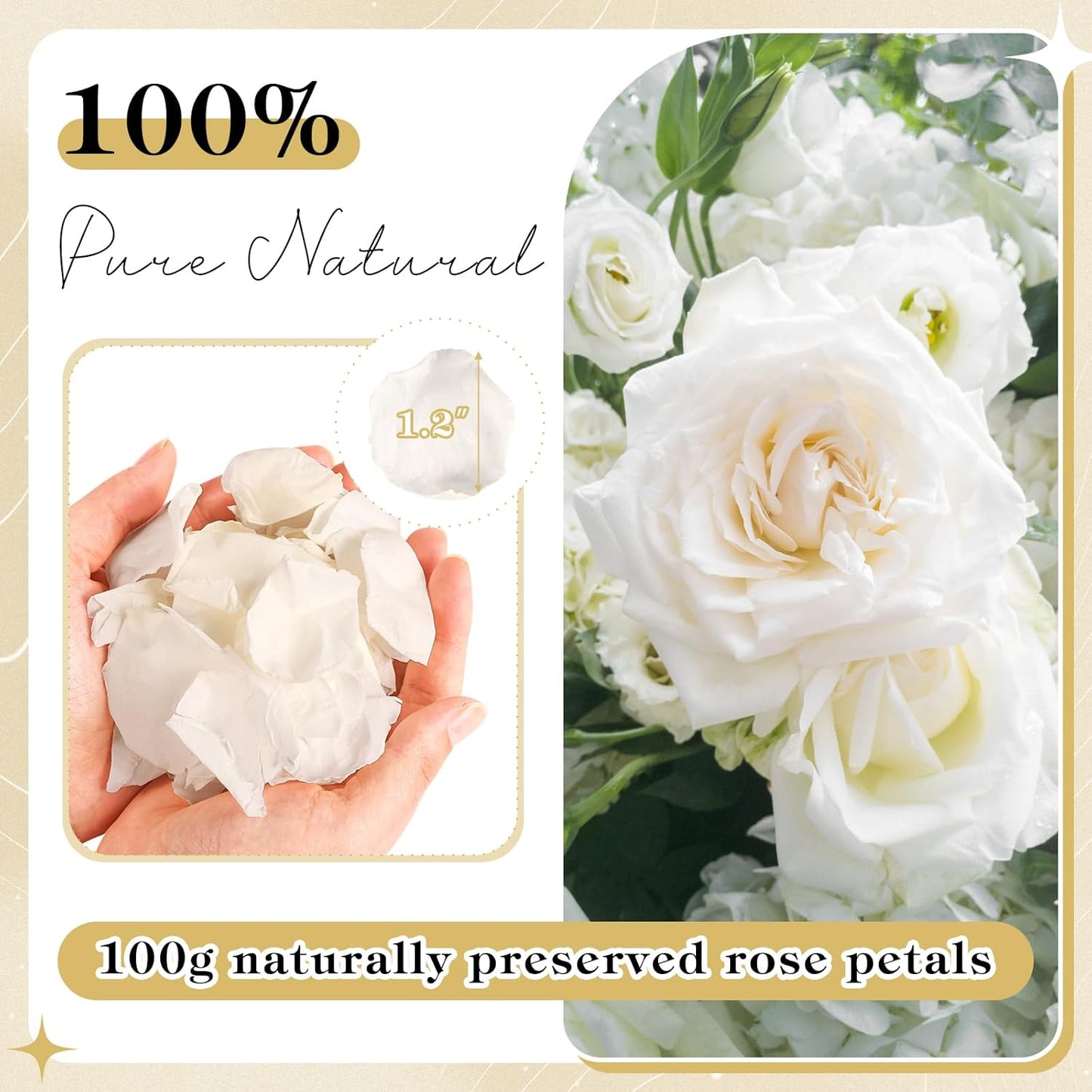 380 PCS White Dired Rose Petals 3.53oz/100g Natural Real Rose Flower Petals for Wedding Aisle, Flower Girl Basket, Will You Marry Me, Valentines, Romantic Night, Proposal, Anniversary, Special Night