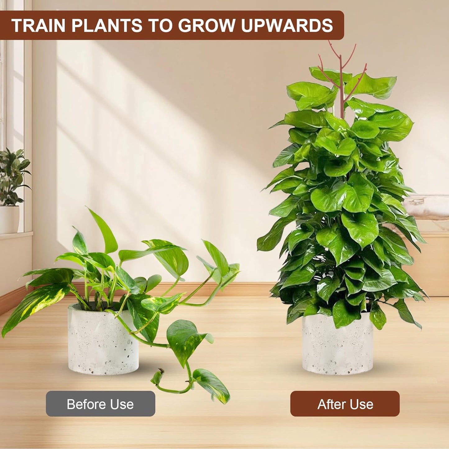 6 Pack Stackable Monstera Plant Support, Plant Stakes for Indoor and Outdoor Plants Use, Garden Stakes for Climbing and Potted Plants, Pothos, Philodendron, Brown