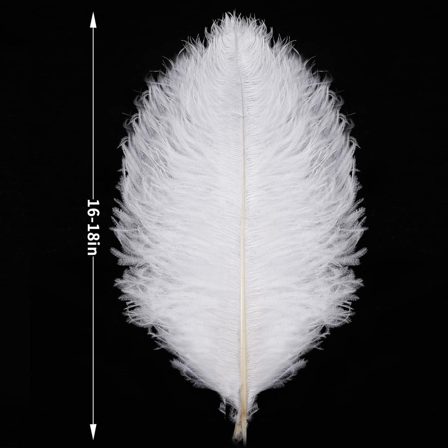 Larryhot White Large Ostrich Feathers - 16-18 inch 10pcs Feathers for Vase,Wedding Party Centerpieces and Home Decorations (White)
