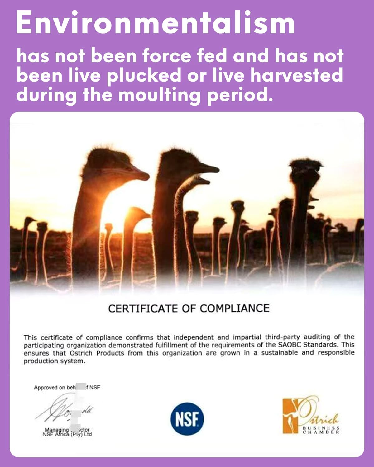 NEWONG 30pcs Light Purple Ostrich Feathers Natural Bulk 8-10in（20-25cm） Vase Craft Wedding Home Party Centerpieces Christmas Day Decoration