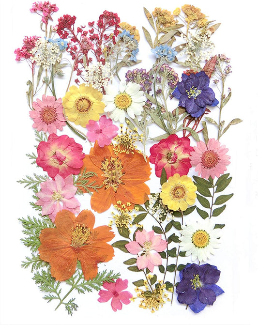 17 Types 48PCS Real Dried Pressed Flowers Leaf Plant Herbarium for DIY Resin Jewelry Making Floral Decors(Colorful)