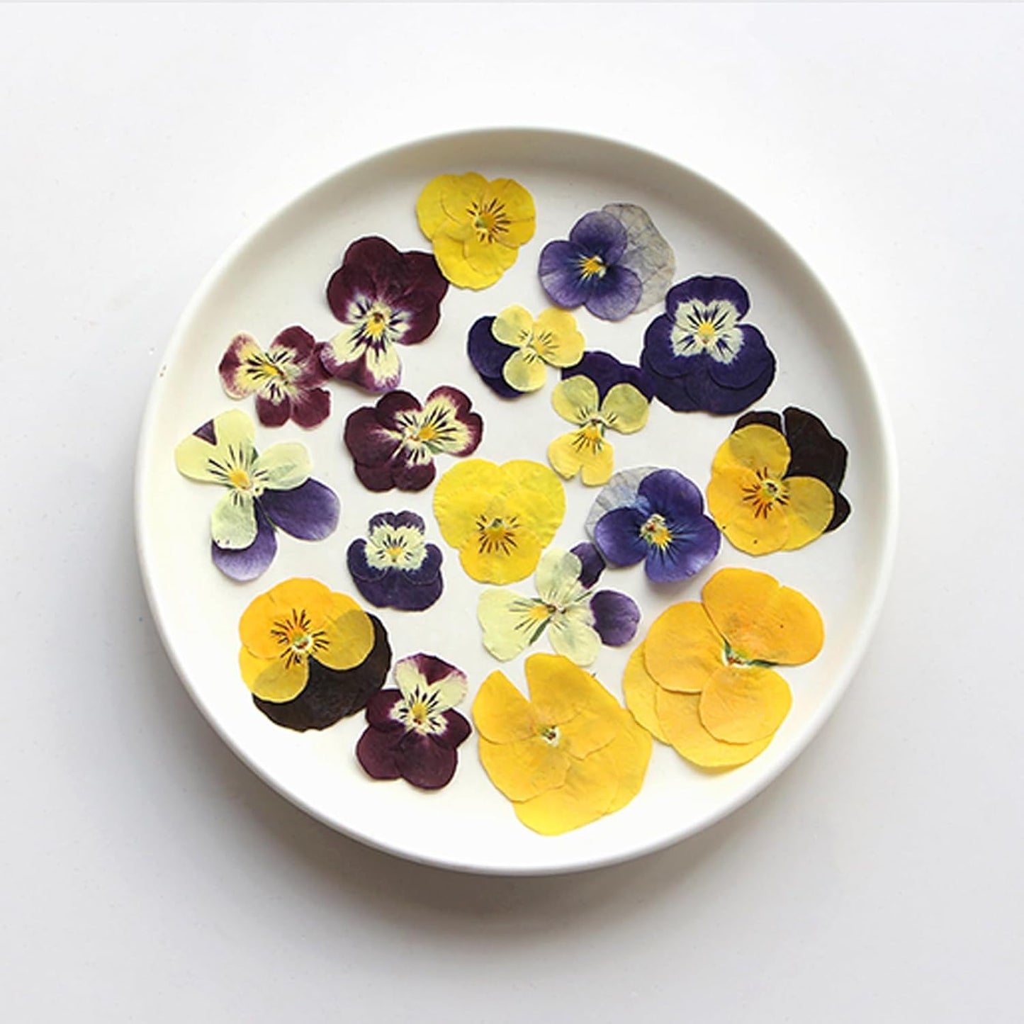 54 Pcs Dried Pressed Flowers for Resin DIY Art Crafts Natural Dry Floral Epoxy Jewelry Real Flower Decor Cakes Phone Cases Candles Handmade Soap Purple Pansy