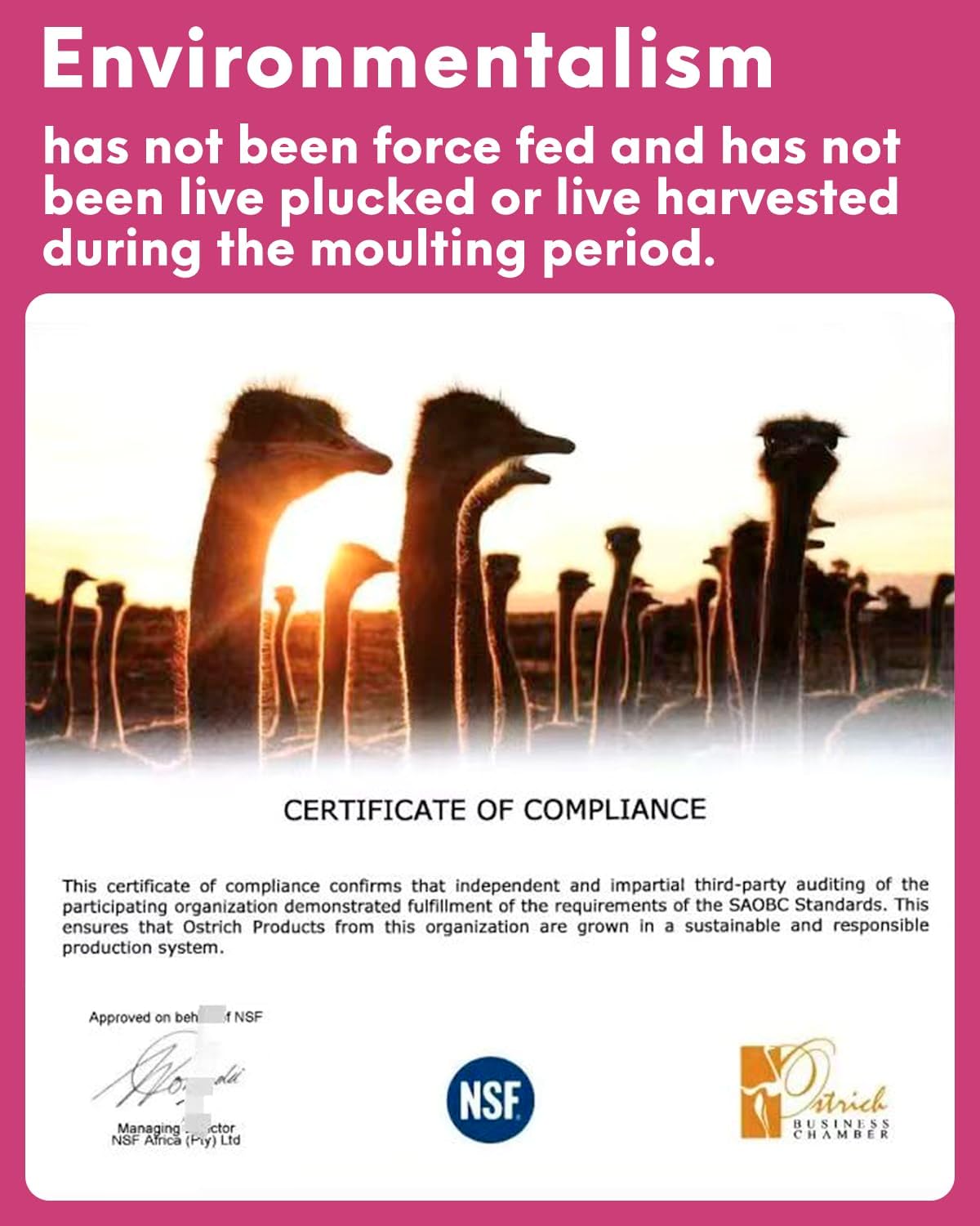 NEWONG 30pcs Gold Ostrich Feathers Natural Bulk 11-14inch(28-35cm) Vase Craft Wedding Home Party Centerpieces Christmas Day Decoration