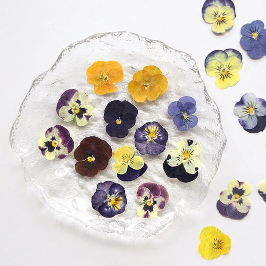 54 Pcs Dried Pressed Flowers for Resin DIY Art Crafts Natural Dry Floral Epoxy Jewelry Real Flower Decor Cakes Phone Cases Candles Handmade Soap Purple Pansy