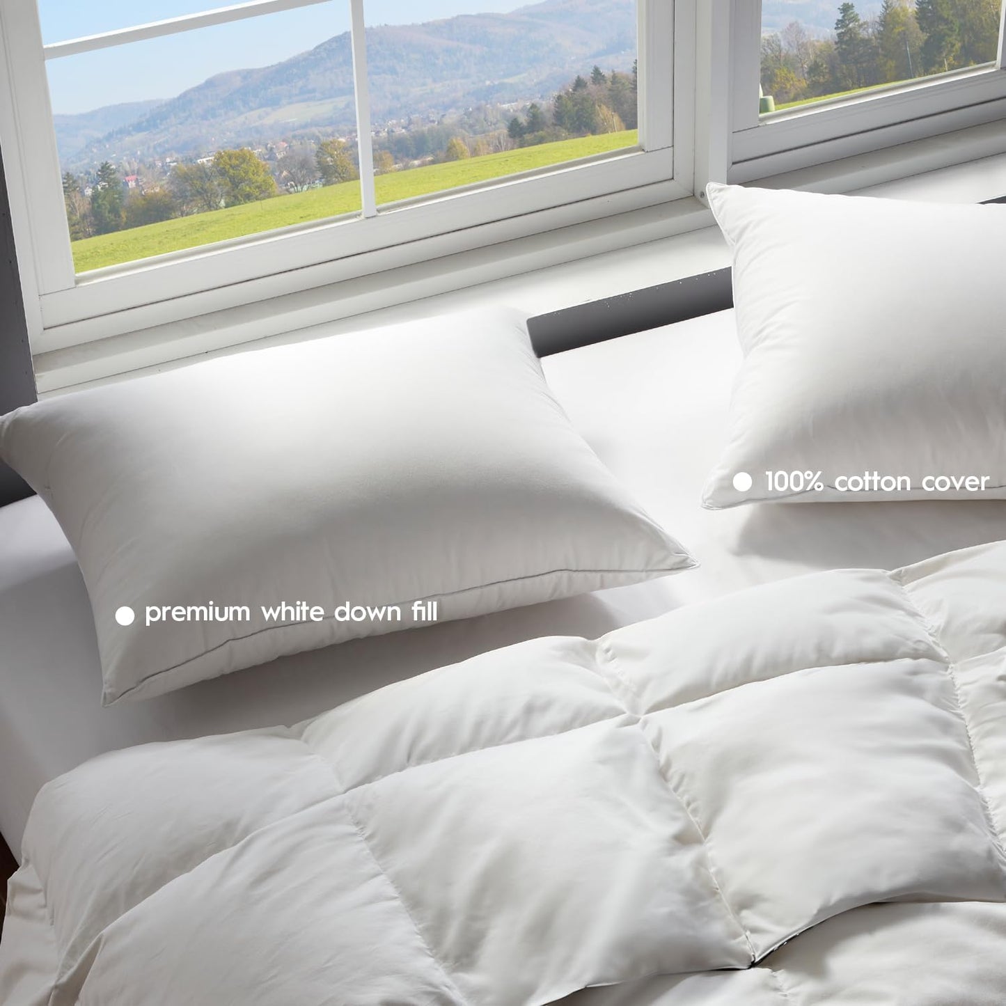 Globon Ultra Soft Down Pillow Queen Size Set of 2, All Down Filled Bed Pillow for Sleeping, 100% Cotton Shell 500 Thread Count, Soft Hotel Collection Down Feather Pillow 20" x 30"