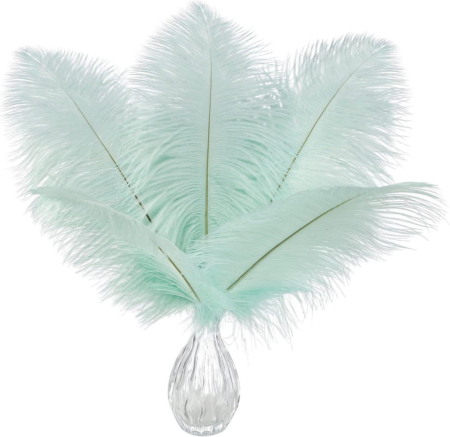 Ballinger Aqua Green Ostrich Feathers - 24pcs 10-12inch Craft Feathers Bulk for Wedding Party Centerpieces Mardi Gras Decorations and Home Decor
