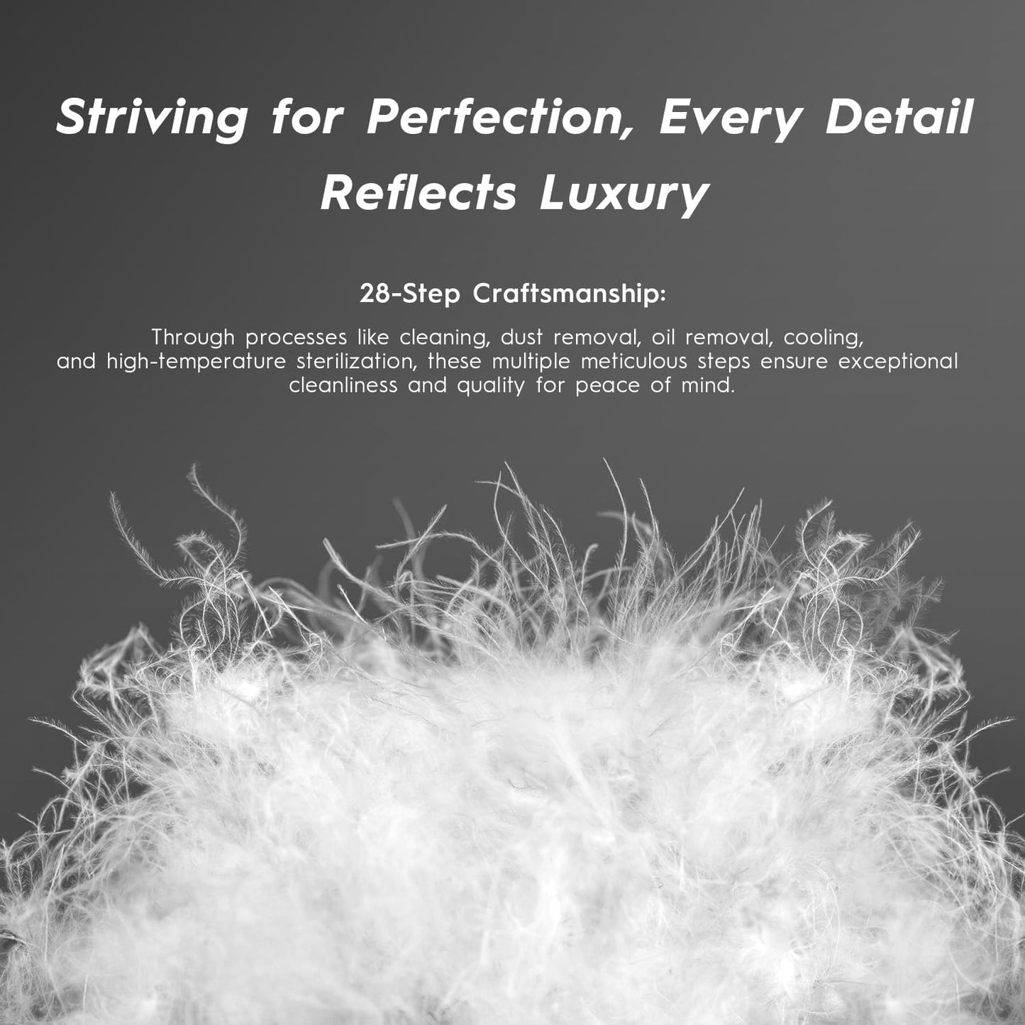 Globon Ultra Soft Down Pillow Standard Size Set of 2, All Down Filled Bed Pillow for Sleeping, 100% Cotton Shell 500 Thread Count, Soft Hotel Collection Down Feather Pillow 20" x 26"