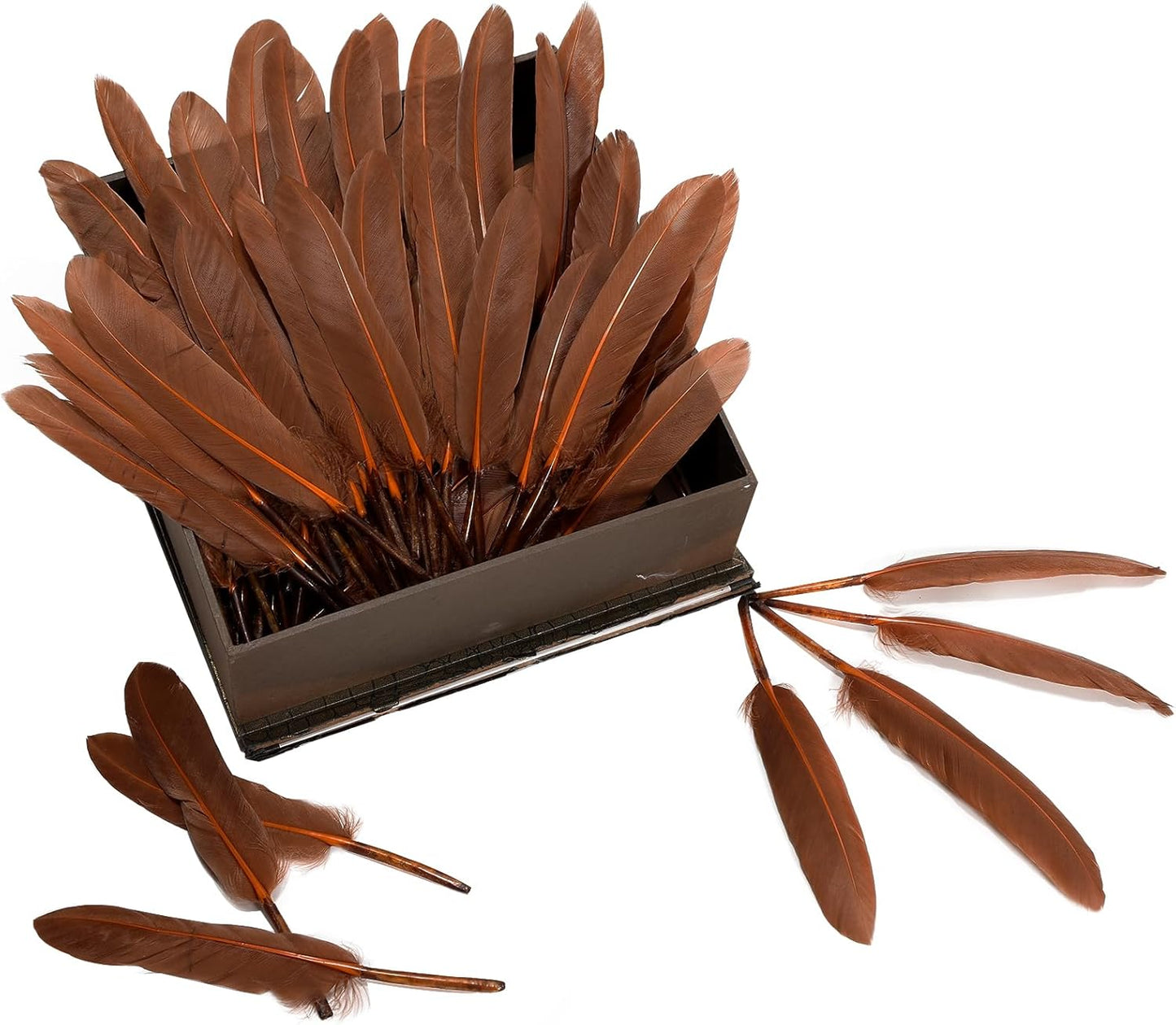 FeelfunFeather 120pcs Coffee Brown Goose Cochettes Feather Natural Bulk 4-6 inch 10-15cm for Wedding Party Christmas Decorations DIY Crafts Goose Cochettes Feather