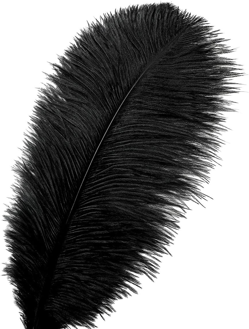 Ballinger Black Large Ostrich Feathers - 24Pcs 12-14inch Large Feathers for Vase,Gatsby and Halloween Party Centerpieces