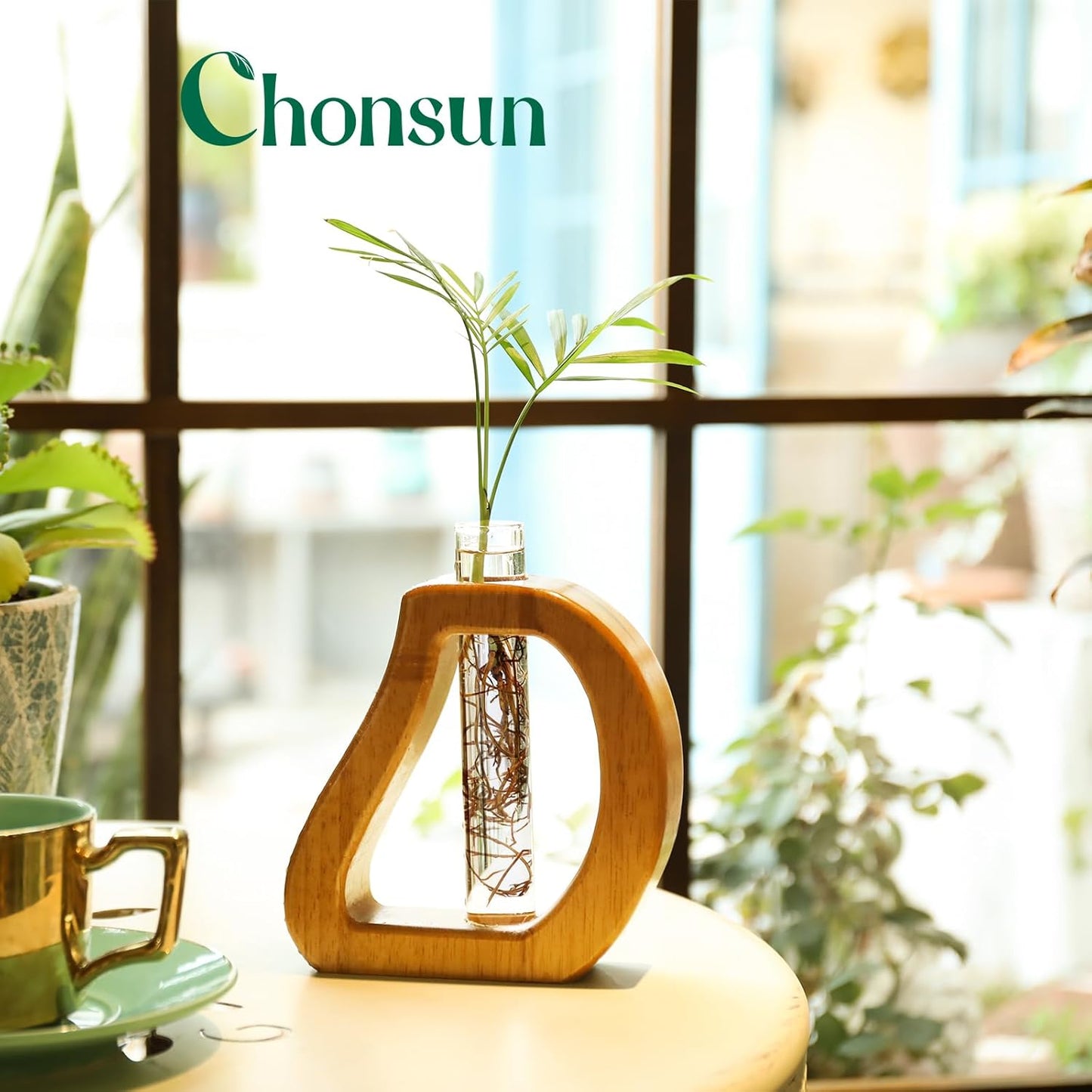 Plant Propagation Stations Wall Hanging Terrariums Home Decor Plants Glass Test Tube Planter with Wooden Stand for Plant Lover Gifts