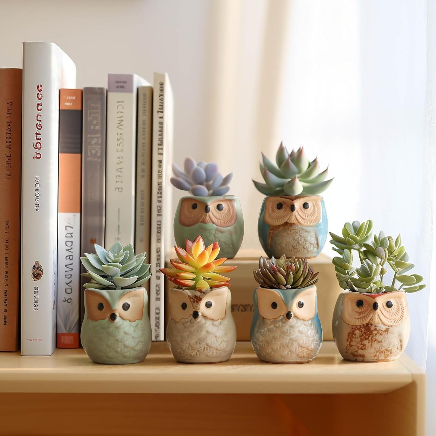 T4U 2.5 Inch Owl Ceramic Succulent Planter Pots with Drainage Hole Set of 6, Mini Cute Flower Pots Tiny Plant Holder Container Best for Home Office Garden Decoration Owl Gift Ideas
