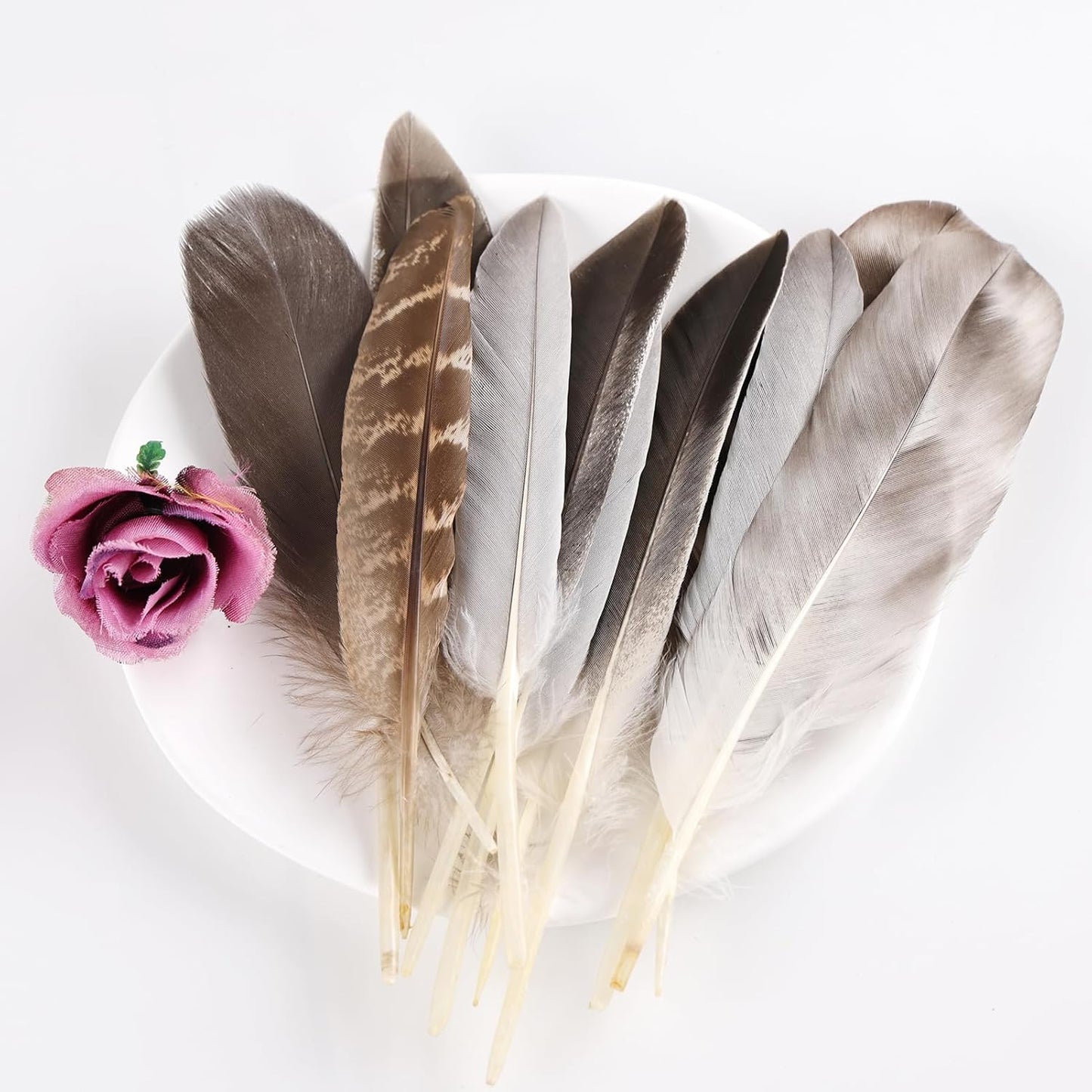 MAOFENG 20pcs Natural Pheasant Feathers 5 Styles 5-9 inches 13-23cm for DIY Craft Wedding Home Party Hat Floral Arrangements Halloween Decorations