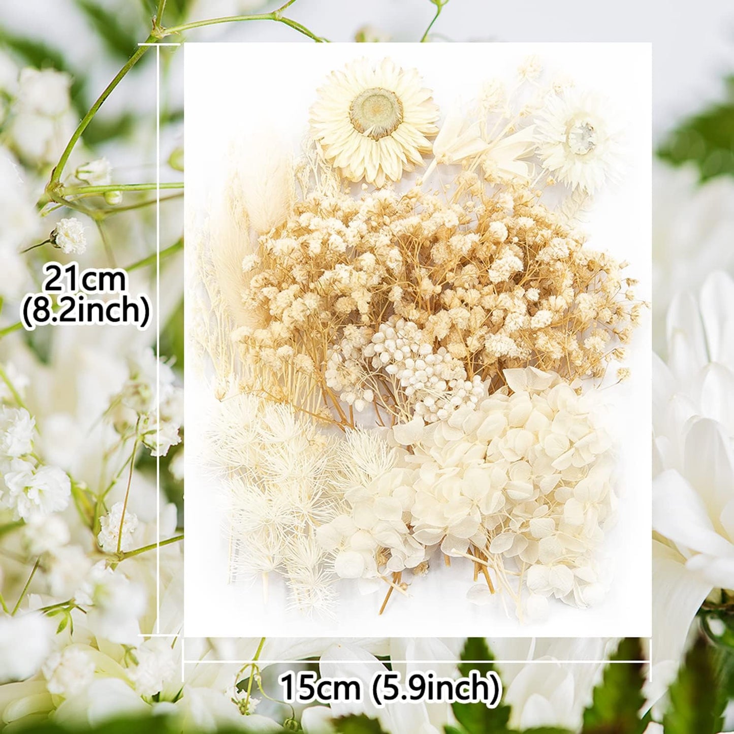 Vignee Real Dried Pressed Leaf Flowers-Multiple Colorful Pressed Flowers Daisies for Craft Resin Jewelry Making Art Craft DIY（White）