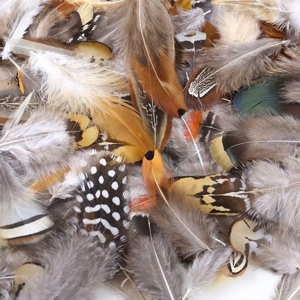 360pcs 12 Styled Natural Feathers Assorted Mixed Feathers for Jewelry and Dream Catcher Crafts