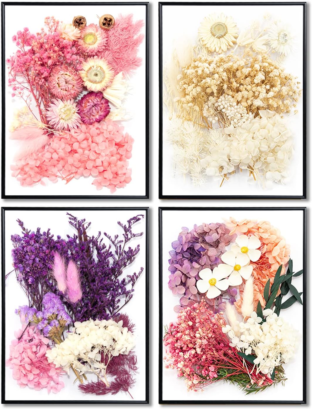 Vignee Real Dried Pressed Leaf Flowers-Multiple Colorful Pressed Flowers Daisies for Craft Resin Jewelry Making Art Craft DIY（White&Light Pink）