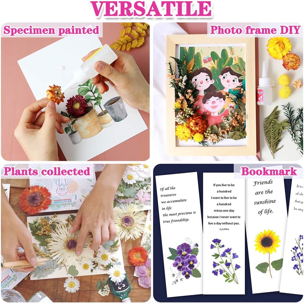 Vignee Real Dried Pressed Leaf Flowers-Multiple Colorful Pressed Flowers Daisies for Craft Resin Jewelry Making Art Craft DIY（Violet+Green）