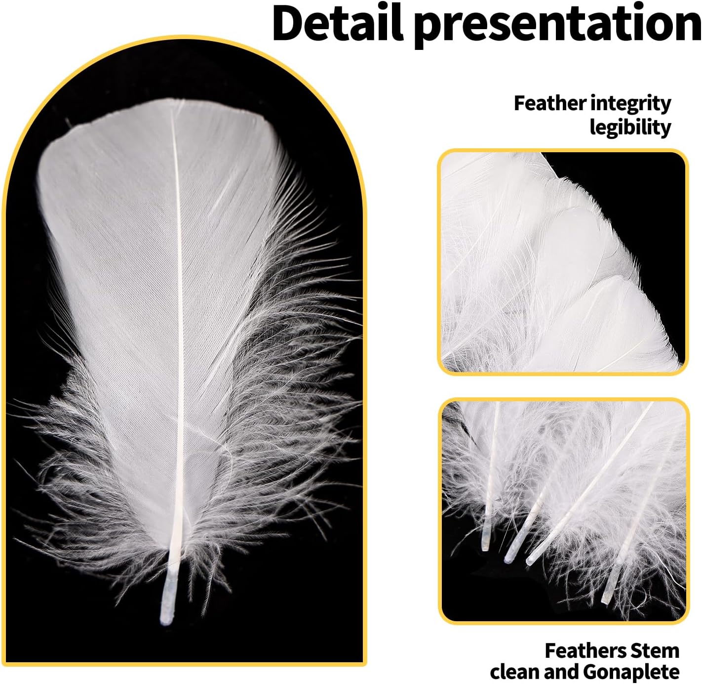 THARAHT 360pcs White Feathers 3-5 inch Craft Feathers Assorted Rainbow Colors Feathers for Kids for DIY Handmade Wedding Home Party Decorations Natural Feather