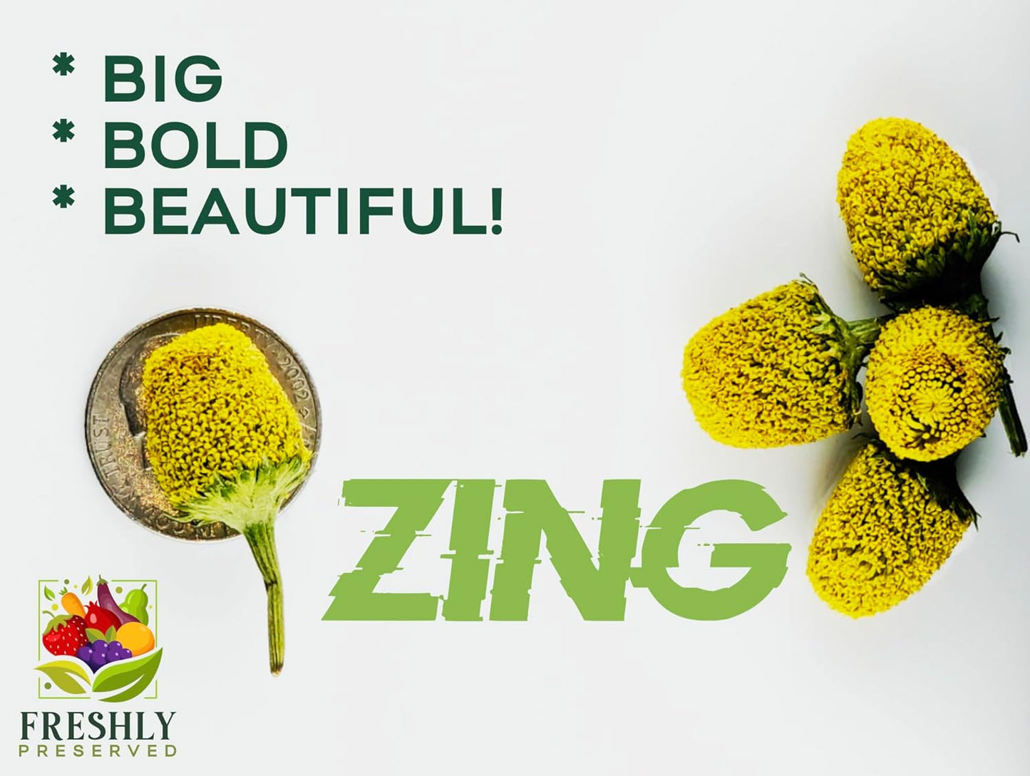 Buzz Buttons Edible Flowers for Cocktails & Desserts - 20 USA Grown Flowers for Drink Garnish - Freeze-dried Spilanthes/Szechuan Button/Acmella Oleracea Flowers (0.2 oz)