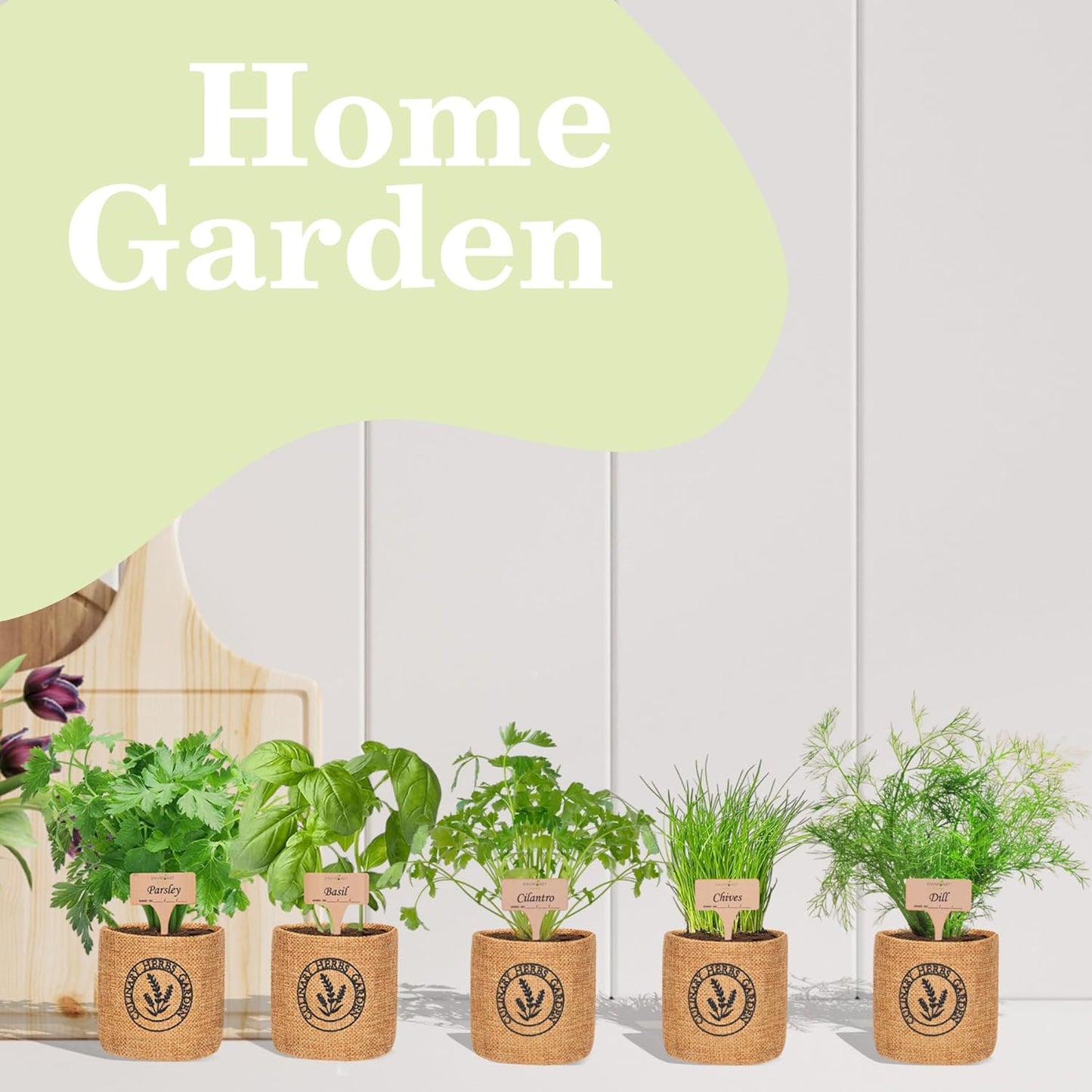 5 Herb Indoor Garden Kit-Burlap Pots, Organic Seeds & Complete Growing Herb Garden Set, Easy Kitchen Garden, Unique Seeds Starter kit, Basil, Parsley, Chives, Cilantro, Dill