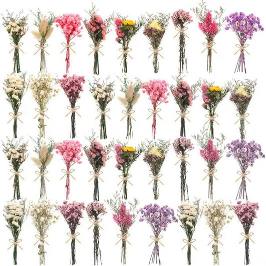 10/12/24/36 Pack Mini Dried Flowers for Vase Wedding Various Mini Bouquet Dried Small Wildflowers Natural Flowers Bulk for Crafts DIY Decor (36, Multicolor)