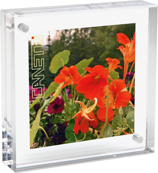 Canetti Original Magnet Frame Square 6x6 inch