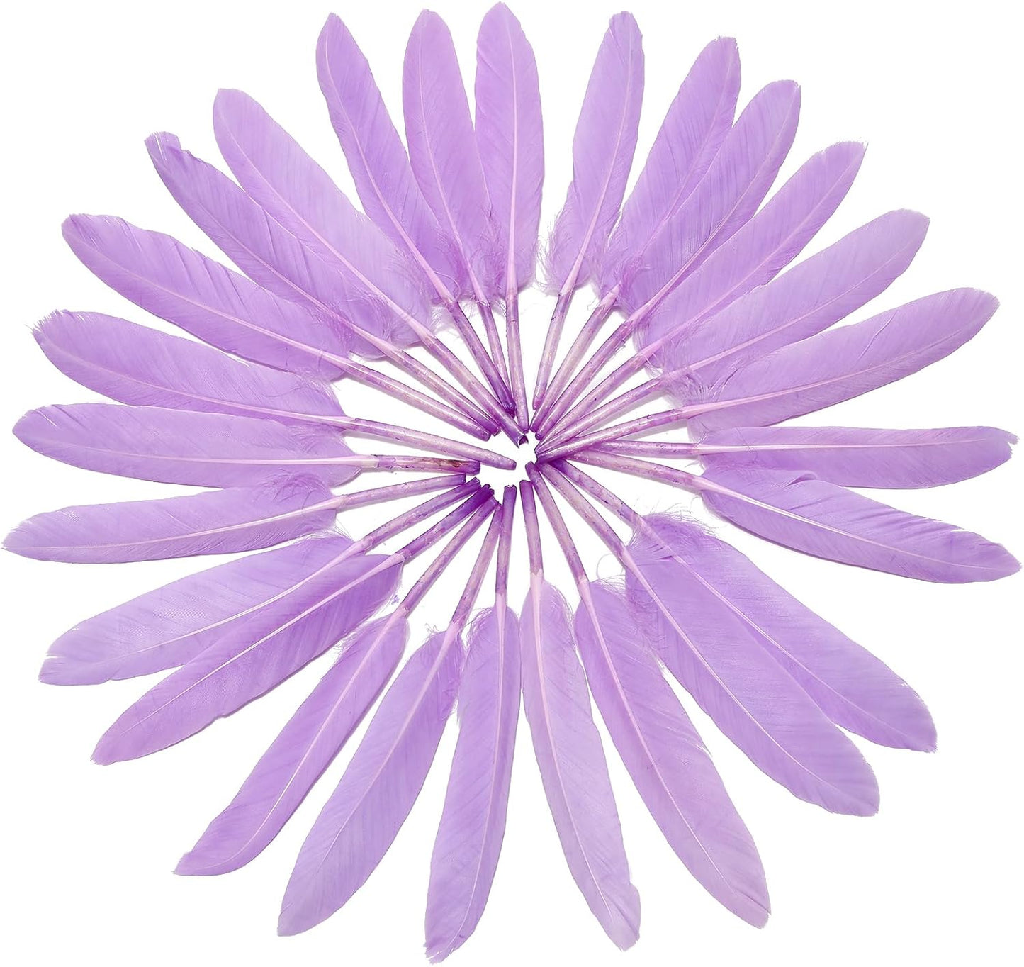 FeelfunFeather 120pcs Light Purple Goose Cochettes Feather Natural Bulk 4-6 inch 10-15cm for Wedding Party Christmas Decorations DIY Crafts Goose Cochettes Feather