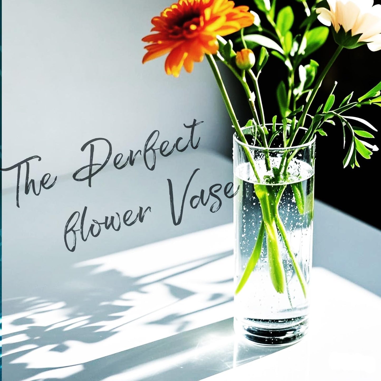 15pcs Glass Vase Cylinder Vases for Centerpieces Small Flower Glass Vases Home Decor Centerpiece Table Clear Flower Vase Decorations for Wedding＆Holiday 4,6,7.5,8,10 Inch Tall