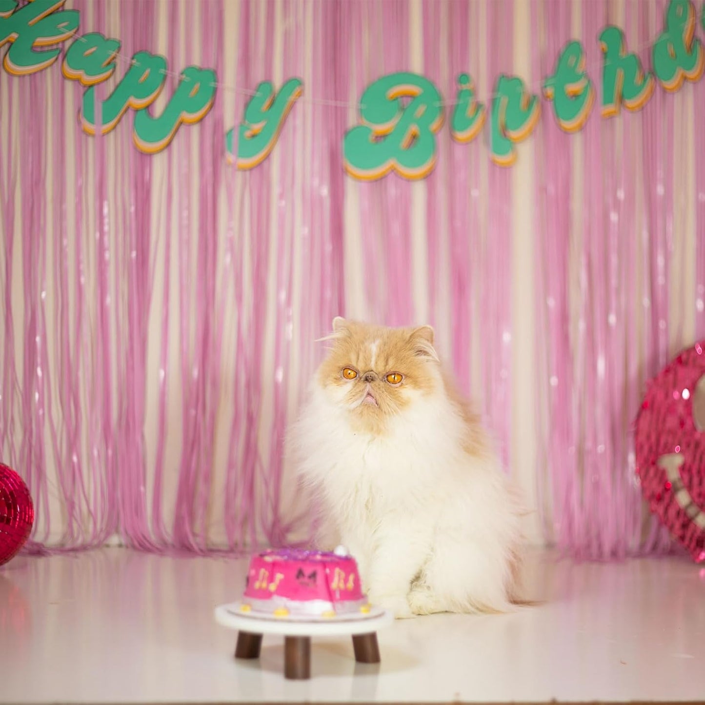 Pastel Pink Party Streamers Foil Fringe Backdrop Curtains Tinsel Streamers Birthday Party Decorations Fringe Backdrop for Birthday Valentines Gender Reveal Party Bridal Shower