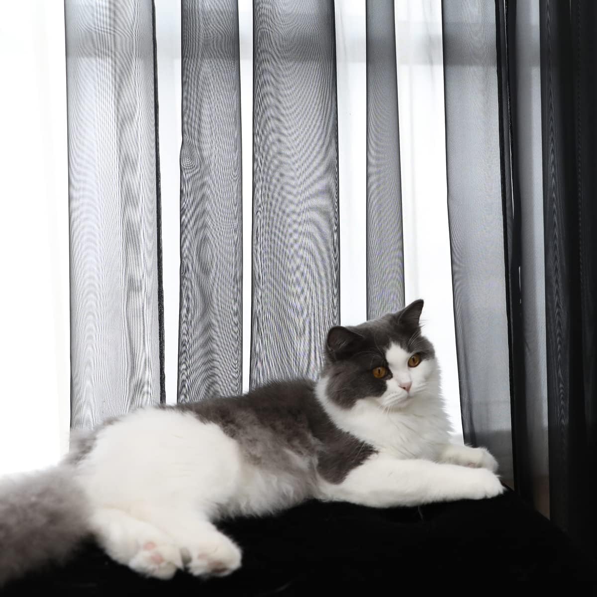 Window Black Sheer Curtains 63 Inches Long 2 Panels Sheer Curtain Basic Rod Pocket Panel for Bedroom Children Living Room Yard Kitchen (Black, 52" W x 63" L | 2 pcs)