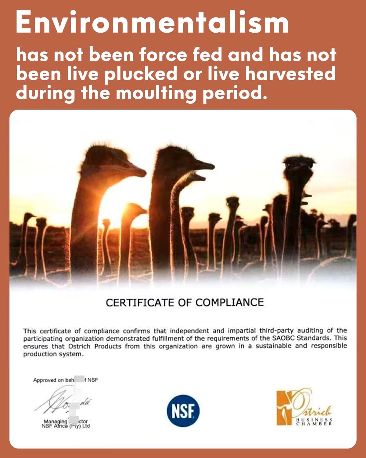 NEWONG 30pcs Brown Ostrich Feathers Natural Bulk 9-12in（23-30cm） Vase Craft Wedding Home Party Centerpieces Christmas Day Decoration