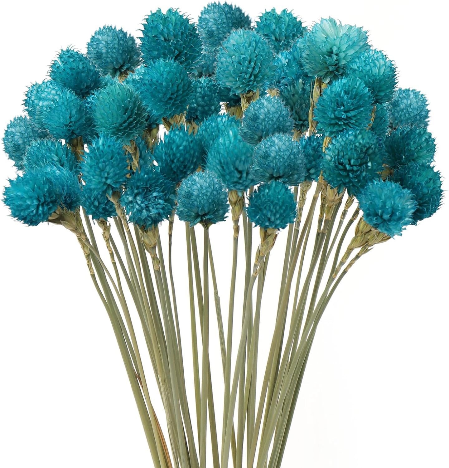 Dried Flower Tiffany Blue Globe Amaranth with Wheat Straw Natural - 40PCS Bouquet for Vase Home Decor Party DIY Arrangement