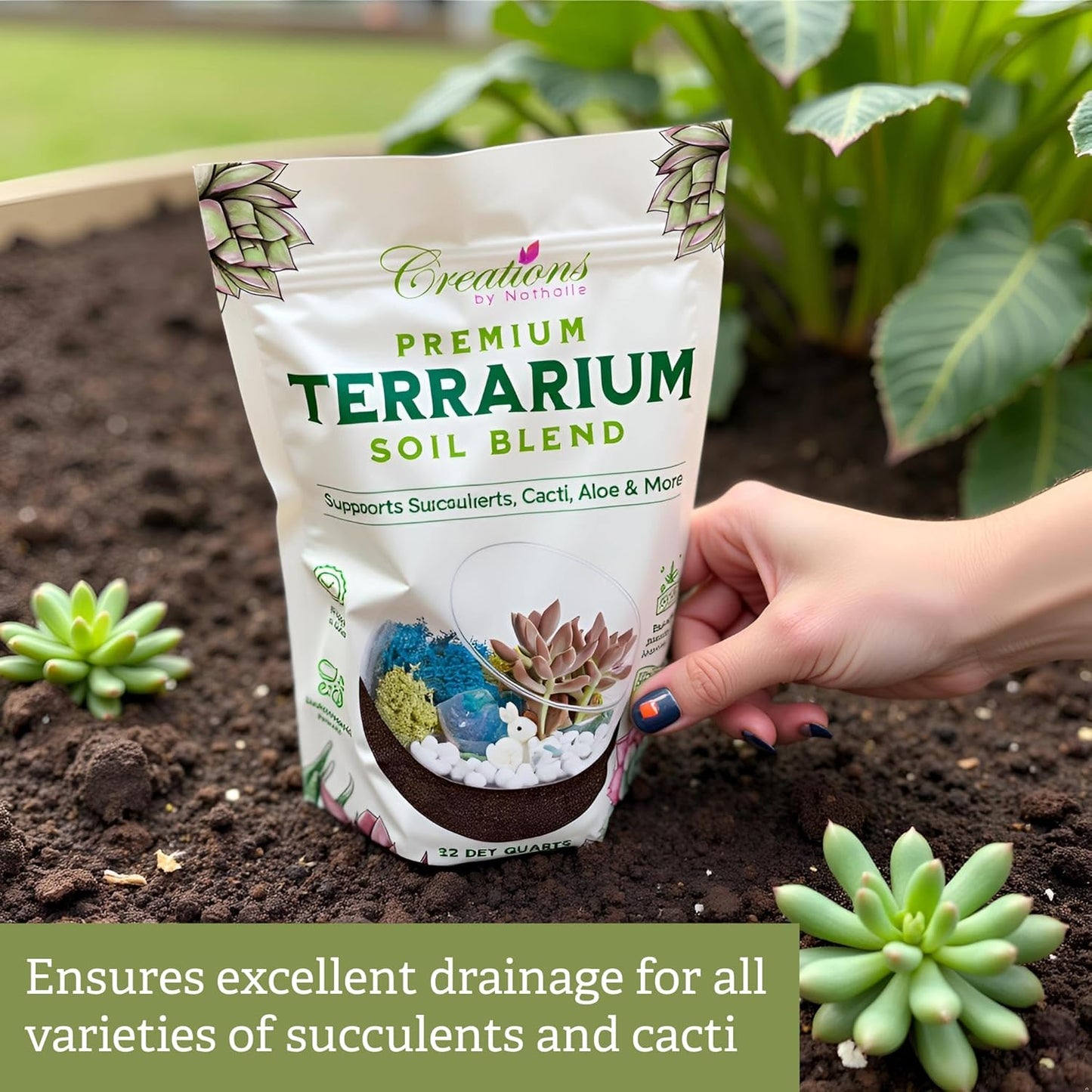 Terrarium Soil Blend - Well Draining Potting Soil for Live Succulents, Cactus, Aloe - Terrarium Supplies, Natural Pine Bark, Peat, Coarse Sand - Indoor Planting Mix Bag