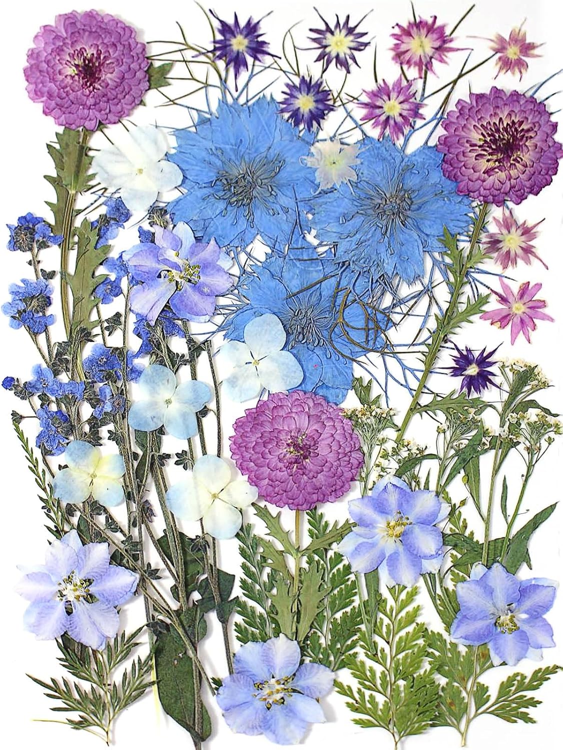 8 Types 46pcs Real Dried Pressed Flowers Leaf Plant Herbarium for DIY Resin Jewelry Making Floral Decors (Blue)