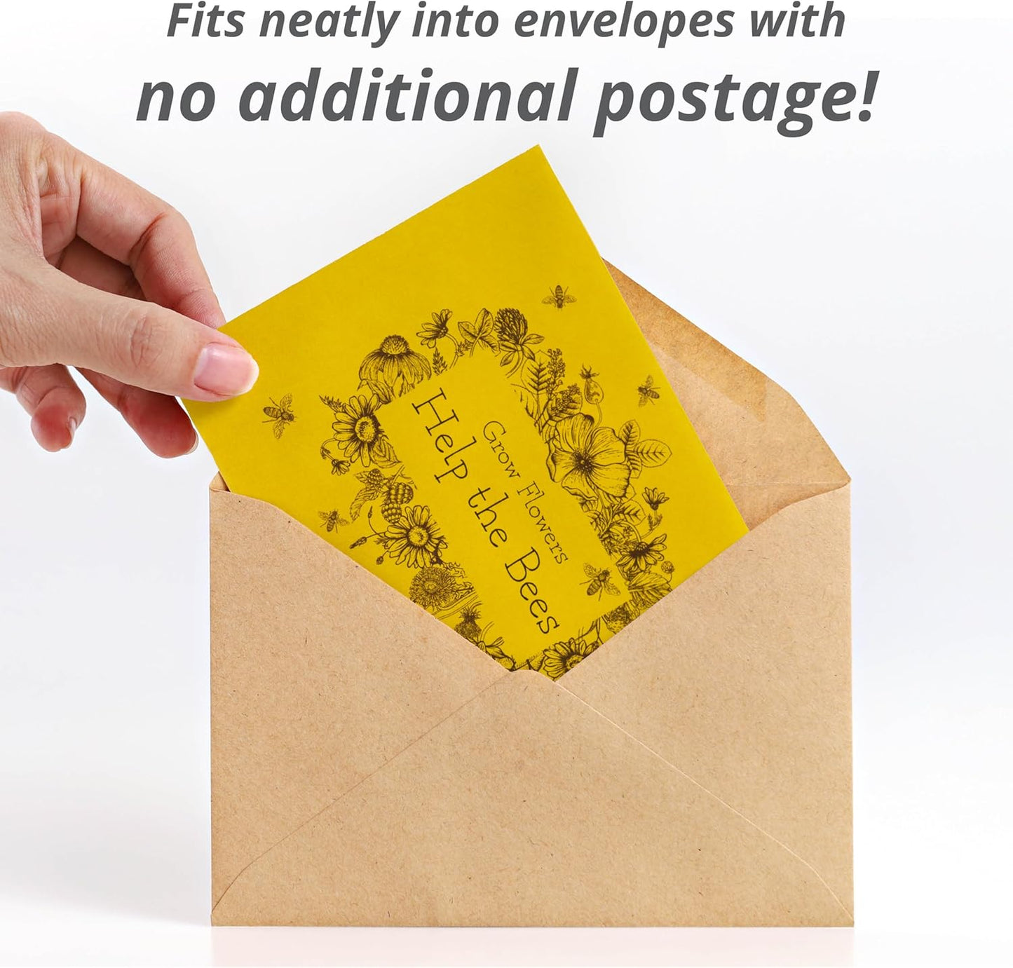 Bentley Wildflower Pollinator Mix, 25 Non-GMO Packets for Garden Planting, Non-Coated Flower Seeds to Grow Plants and Help Bees, Beautiful Gift