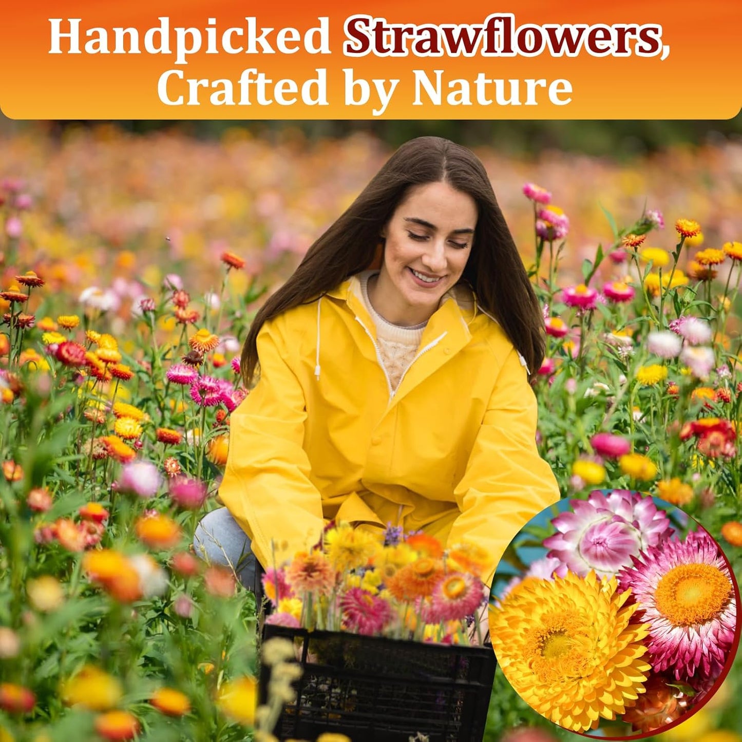 100+ Edible Dried Flowers for Cake Decoration – Food Grade Mixed Natural Colorful Chrysanthemum Flowers for Baking, Cocktails, Cupcakes, Drinks, DIY Crafts - No Additive