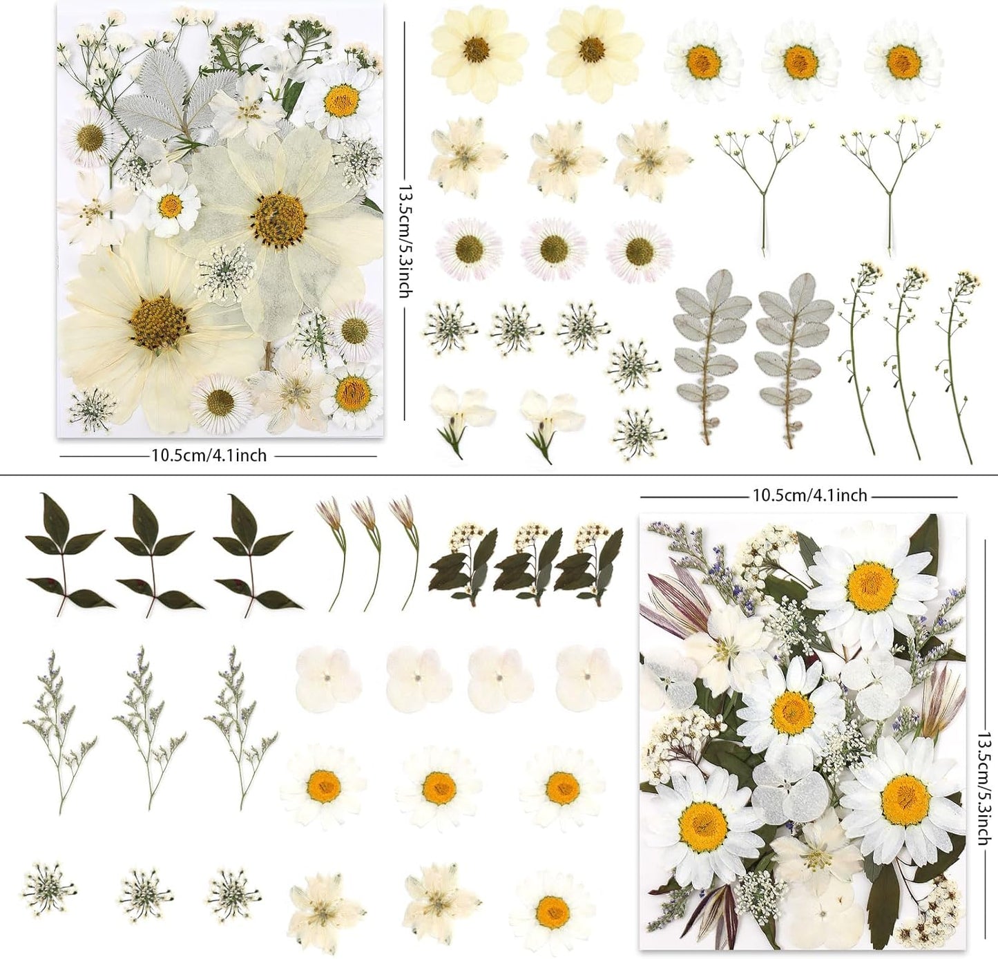 100P White Foliage & Flower Mix Dried Flowers for Crafts, Real Natural Pressed Flowers for DIY Crafts, Resin Jewelry, Candle Art & Scrapbooking Crafts – Tweezers Included