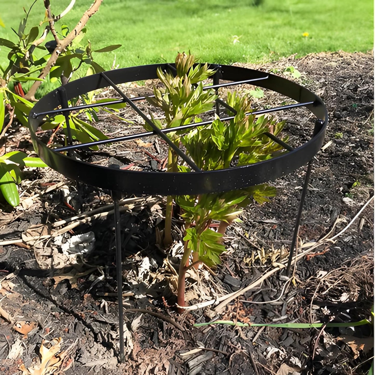 Large Peony Cages and Supports 18.9"x23.6" - Durable Round Garden Flower Rings | Tall Plant Support Stakes for Outdoor Peonies | Enhances Peony Planting Success with Secure Grounding