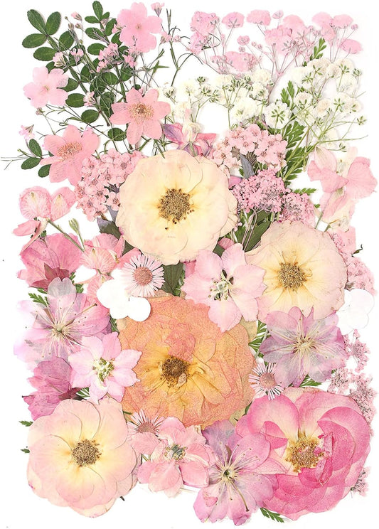 AHTONG 14 Types Pink Dried Pressed Flowers for Craft, Leaf Plant Herbarium for Resin Molds Jewelry Making Floral Decors (Peach Fuzz)