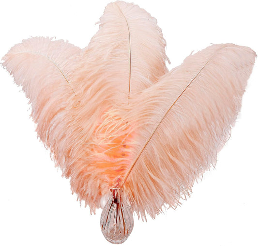 Larryhot 16-18inch Ostrich Feathers Plumas - 10pcs Boho Feathers for Vase Decoration,Wedding Party Centerpieces and Home Decorations (Champagne)