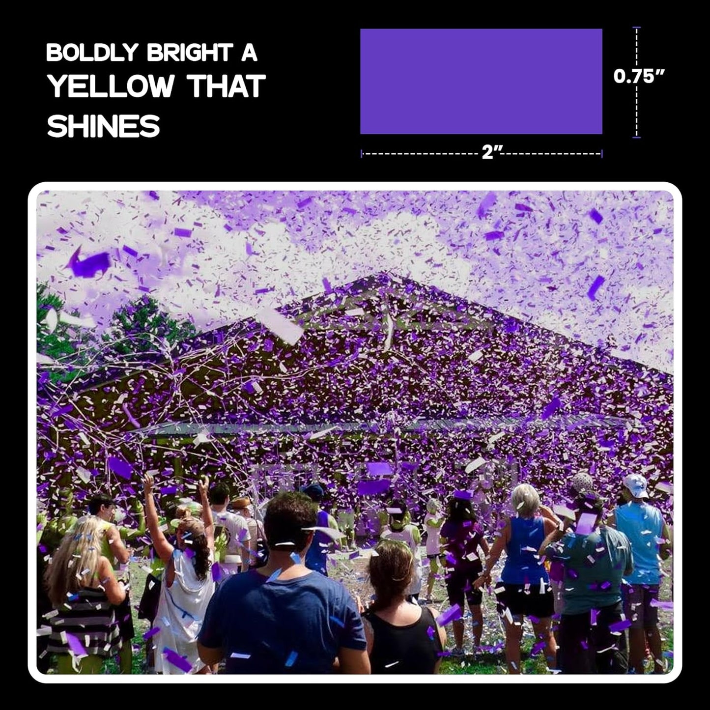 Purple Biodegradable Confetti - Rectangular Fluttering Tissue Paper Confetti for Cannon and Launcher use – Best for Gender Reveal, Wedding, Parties, and Live Events - 1 lb, 16 oz