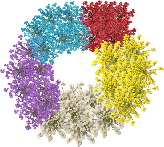 60 Pcs Dried Pressed Flowers for Resin DIY Art Crafts Natural Dry Floral Epoxy Jewelry Real Lace Flower Decor Cakes Phone Cases Candles Handmade Soap Mix Lace Flower