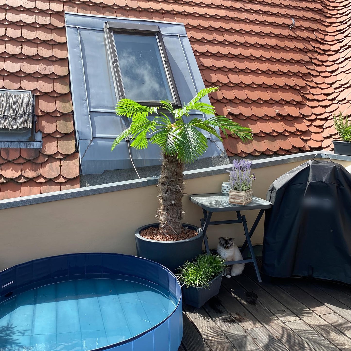 DILATATA 10 PCS Large Artificial Palm Leaves Palm Fronds Tropical Leaves Areca Palm Branches Palm Leaves with Stem Palm Tree Leaves Faux Palm Leaves for Floral Arrangement Fake Leaves Palm Leaf Decor